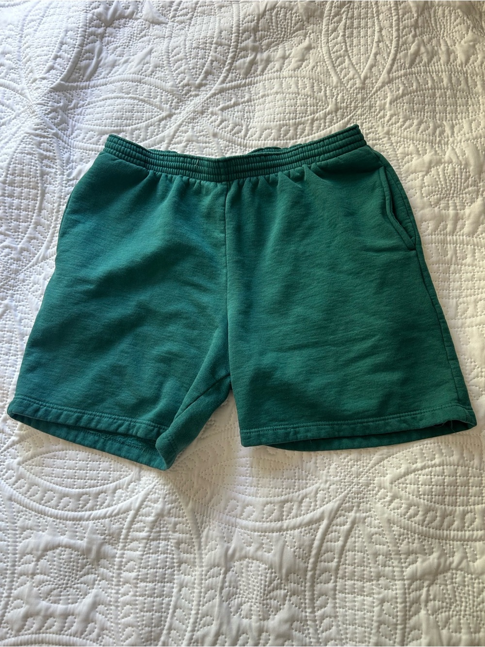 Men's Athletic drawstring Shorts in Teal Green